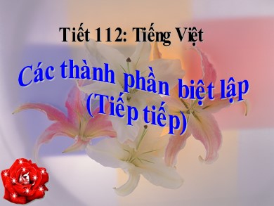 Bài giảng Ngữ văn 9 - Tiết 112: Các thành phần biệt lập (Tiếp tiếp)