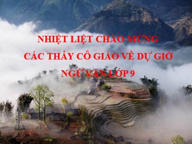 Bài giảng Ngữ văn 9 - Tiết 142: Ôn tập Tiếng Viêt