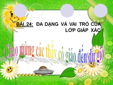 Bài giảng Sinh học 7 - Bài 24: Đa dạng và vai trò của lớp giáp xác