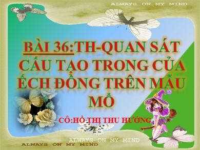 Bài giảng Sinh học 7 - Bài 36: Thực hành: Quan sát cấu tạo trong của ếch đồng trên mẫu mổ