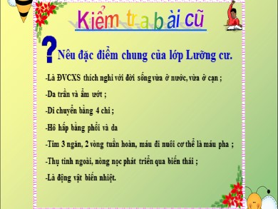 Bài giảng Sinh học 7 - Bài 38: Thằn lằn bóng đuôi dài