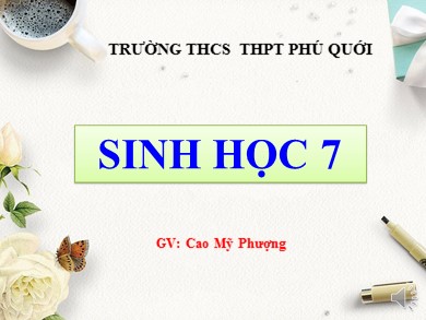 Bài giảng Sinh học 7 - Bài dạy 40: Đa dạng và đặc điểm chung của lớp Bò sát