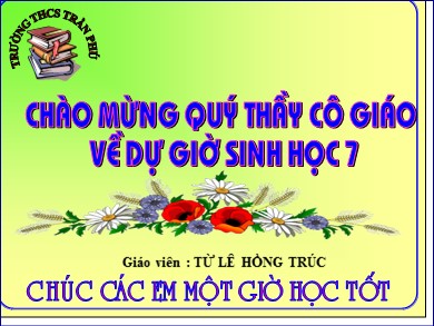 Bài giảng Sinh học 7 - Bài học 26: Châu chấu