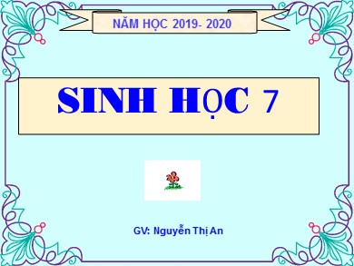 Bài giảng Sinh học 7 - Bài học 32: Thực hành mổ cá