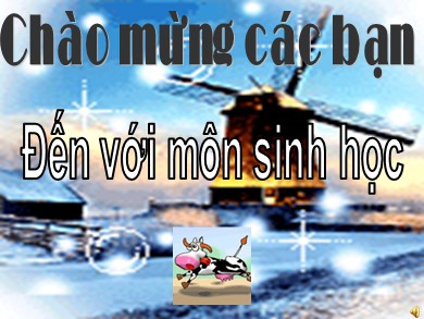 Bài giảng Sinh học 7 - Bài số 26: Châu chấu