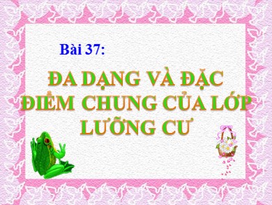 Bài giảng Sinh học 7 - Bài số 37: Đa dạng và đặc điểm chung của lớp lưỡng cư