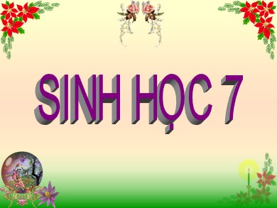 Bài giảng Sinh học 7 - Tiết 1: Thực hành: Quan sát cấu tạo ngoài và hoạt động sống của tôm sông