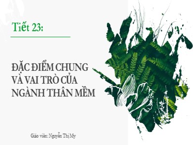 Bài giảng Sinh học 7 - Tiết 23: Đặc điểm chung và vai trò của ngành thân mềm