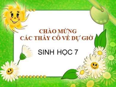 Bài giảng Sinh học 7 - Tiết 26 - Bài 24: Đa dạng và vai trò của lớp giáp xác