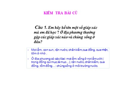 Bài giảng Sinh học 7 - Tiết 27 - Bài 25: Nhện và sự đa dạng của lớp hình nhện