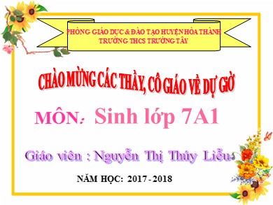 Bài giảng Sinh học 7 - Tiết 27: Nhện và sự đa dạng của lớp hình nhện