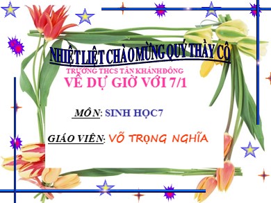 Bài giảng Sinh học 7 - Tiết 28 - Bài 26: Châu chấu