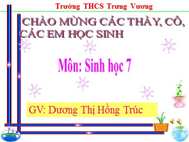 Bài giảng Sinh học 7 - Tiết 28 - Bài 27: Đa dạng và đặc điểm chung của lớp sâu bọ