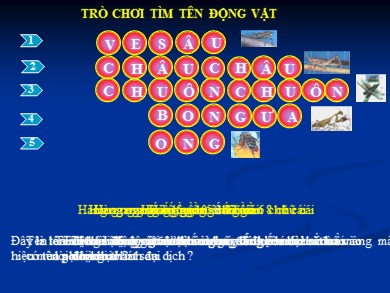 Bài giảng Sinh học 7 - Tiết 30: Đa dạng và đặc điểm chung của lớp sâu bọ