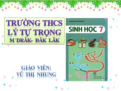 Bài giảng Sinh học 7 - Tiết 42 - Bài 41: Chim bồ câu