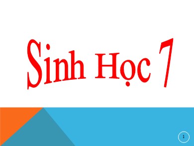 Bài giảng Sinh học 7 - Tiết 43 - Bài 38: Thằn lằn bóng đuôi dài