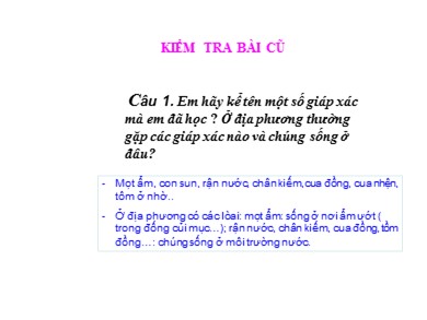 Bài giảng Sinh học 7 - Tiết học 27 - Bài 25: Nhện và sự đa dạng của lớp hình nhện