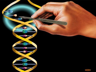 Bài giảng Sinh học 9 - Bài 16: ADN và bản chất của gen