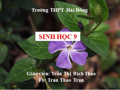 Bài giảng Sinh học 9 - Bài 37: Thành tựu chọn giống ở Việt Nam