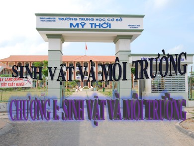 Bài giảng Sinh học 9 - Bài 41: Môi trường và các nhân tố sinh thái