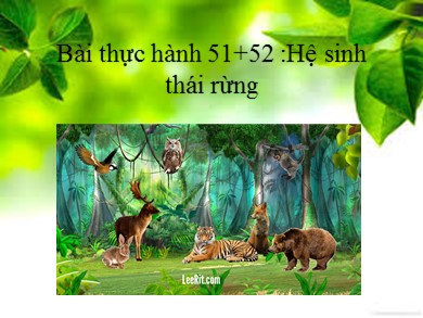 Bài giảng Sinh học 9 - Bài thực hành 51 + 52: Hệ sinh thái rừng