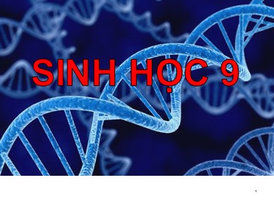 Bài giảng Sinh học 9 - Tiết 1: Men đen và di truyền học