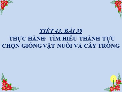 Bài giảng Sinh học 9 - Tiết 43 - Bài 39: Thực hành: Tìm hiểu thành tựu chọn giống vật nuôi và cây trồng