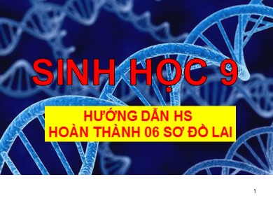 Bài giảng Sinh học 9 - Tiết 5: Hướng dẫn hoàn thành 6 sơ đồ lai