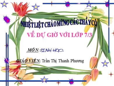 Bài giảng Sinh học lớp 7 - Tiết 28 - Bài 26: Châu chấu