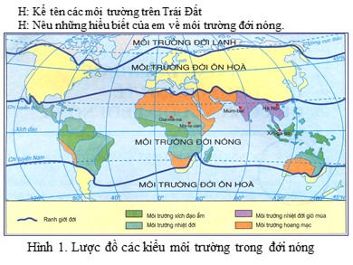 Bài giảng Địa lí 7 - Bài 3: Môi trường đới nóng