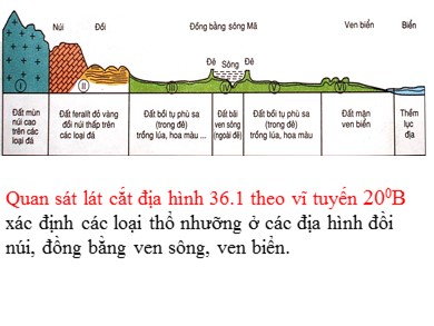 Bài giảng Địa lí 8 - Bài dạy 36: Đặc điểm đất Việt Nam