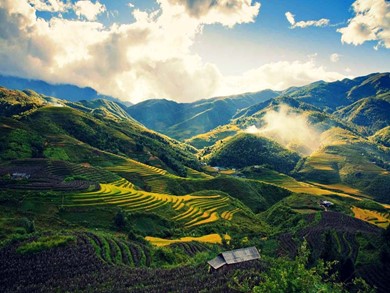 Bài giảng Địa lí 8 - Tiết 33 - Bài 28: Đặc điểm địa hình Việt Nam