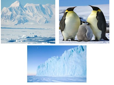 Bài giảng Địa lí lớp 7 - Bài số 47: Châu nam cực, châu lục lạnh nhất thế giới
