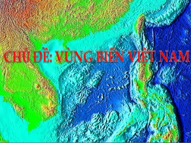 Bài giảng môn học Địa lí 8 - Chủ đề: Vùng biển Việt Nam
