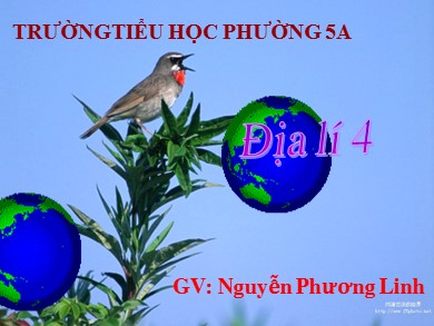 Bài giảng Địa lí Lớp 4 - Bài: Hoạt động sản xuất của người dân ở Tây Nguyên (Tiếp theo) - Năm học 2015-2016 - Nguyễn Phương Linh