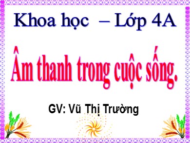 Bài giảng Khoa học Lớp 4 - Bài 43: Âm thanh trong cuộc sống - Vũ Thị Trường