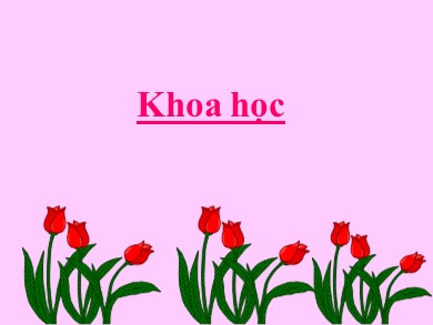 Bài giảng Khoa học Lớp 4 - Bài: Bảo vệ bầu không khí trong sạch