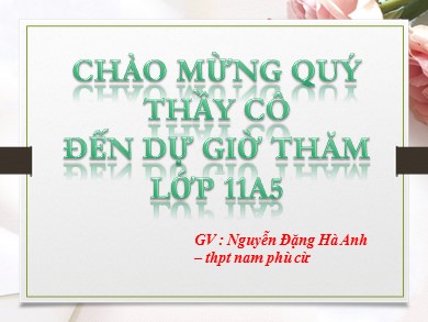 Bài giảng Ngữ văn Lớp 11 - Bài: Chữ người tử tù - Nguyễn Đặng Hà Anh