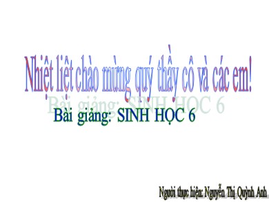 Bài giảng Sinh học Lớp 6 - Tiết 54, Bài 45: Nguồn gốc cây trồng - Nguyễn Thị Quỳnh Anh