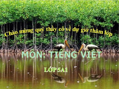 Bài giảng Tiếng việt Lớp 5 - Bài 9: Tình người với đất