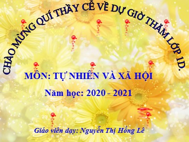 Bài giảng Tự nhiên và xã hội Lớp 1 - Bài 17: Con vật quanh em (Tiết 2) - Năm học 2020-2021 - Nguyễn Thị Hồng Lê