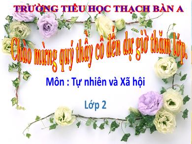 Bài giảng Tự nhiên và xã hội Lớp 2 - Bài: Ăn, uống sạch sẽ - Trường Tiểu học Thạch Bàn A