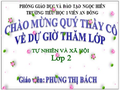 Bài giảng Tự nhiên và xã hội Lớp 2 - Bài: Phòng tránh ngộ độc khi ở nhà - Năm học 2017-2018 - Phùng Thị Bách