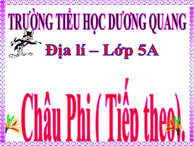 Bài giảng Địa lí 5 - Tuần 26, Bài 24: Châu Phi (Tiếp theo) - Trường TH Dương Quang