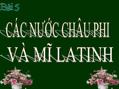 Bài giảng điện tử Lịch sử 12 - Bài 5: Các nước Châu Phi và Mĩ Latinh