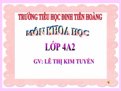 Bài giảng Khoa học 4 - Tuần 24, Bài 47: Ánh sáng cần cho sự sống - Lê Thị Kim Tuyến