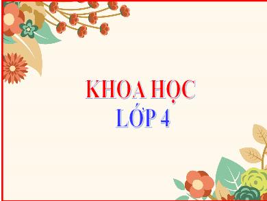 Bài giảng Khoa học 4 - Tuần 7, Bài 14: Một số bệnh lây qua đường tiêu hóa