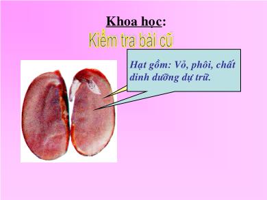 Bài giảng Khoa học 5 - Tuần 27, Bài 54: Cây con có thể mọc lên từ một số bộ phận của cây mẹ