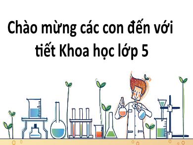 Bài giảng Khoa học 5 - Tuần 4, Bài: Từ tuổi vị thành niên đến tuổi già