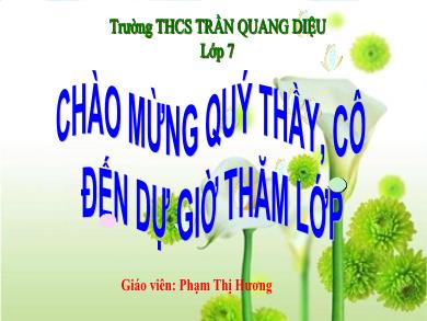 Bài giảng Lịch sử 7 - Tiết 10, Bài 8: Nước ta buổi đầu độc lập - Phạm Thị Hương